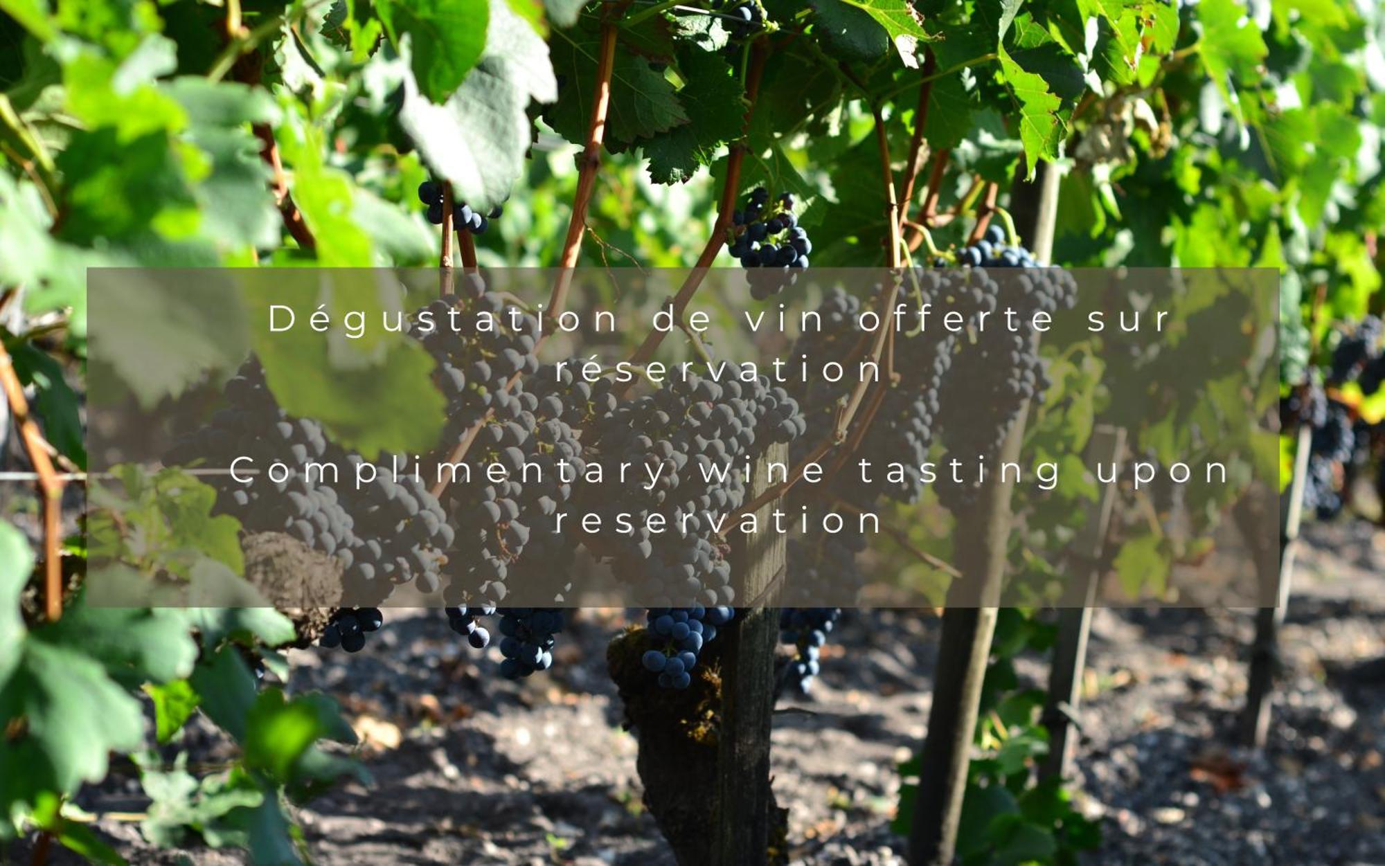 Chateau Leognan, Domaine Viticole - Proche Bordeaux Buitenkant foto